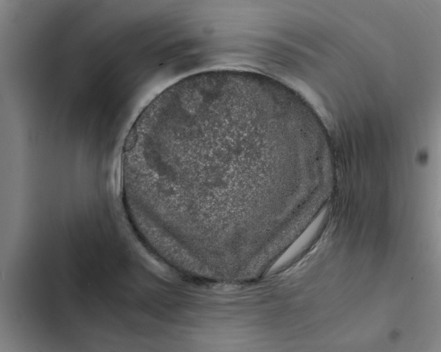 X0000102481371200808221656