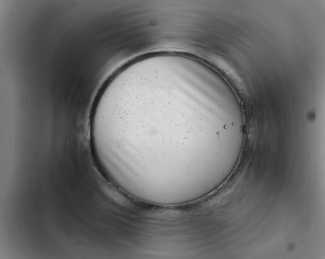 X0000102481372200808221656