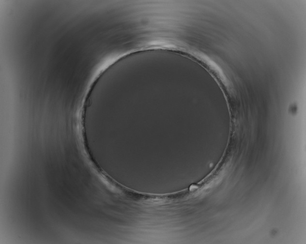 X0000102481373200808221656