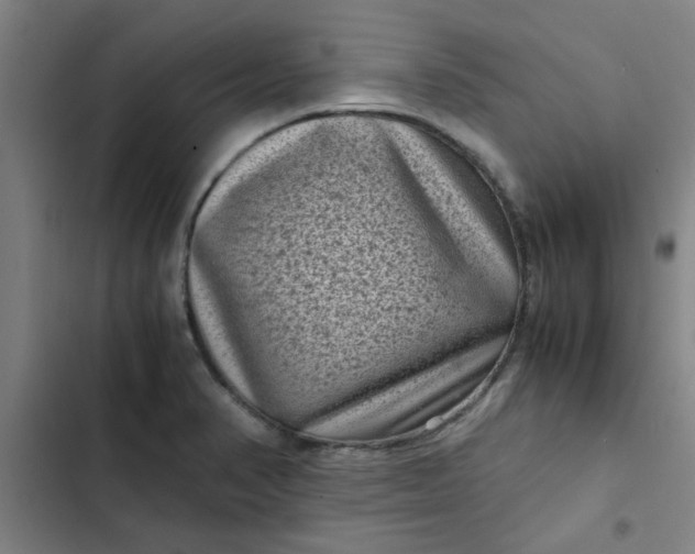 X0000102481374200808221656