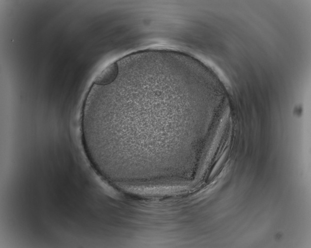 X0000102481375200808221656