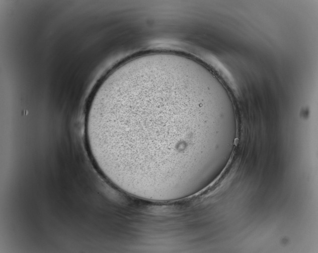 X0000102481376200808221656