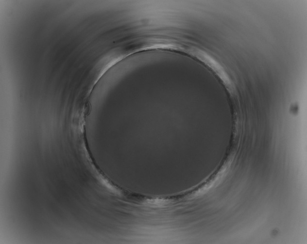 X0000102481377200808221656