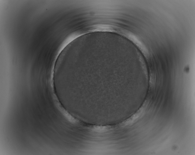 X0000102481378200808221656