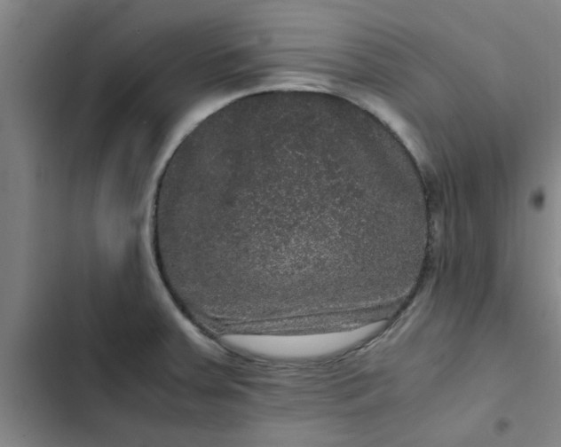 X0000102481379200808221656