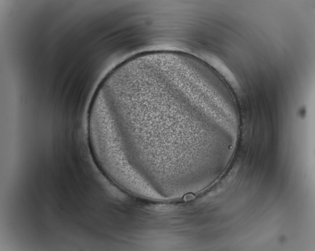 X0000102481380200808221656