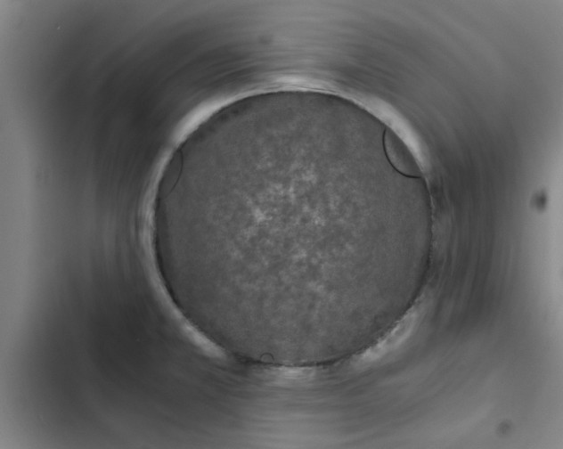 X0000102481381200808221656