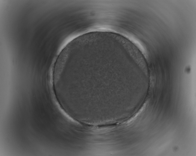 X0000102481382200808221656