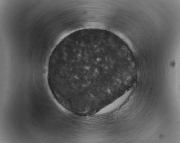 X0000102481383200808221656