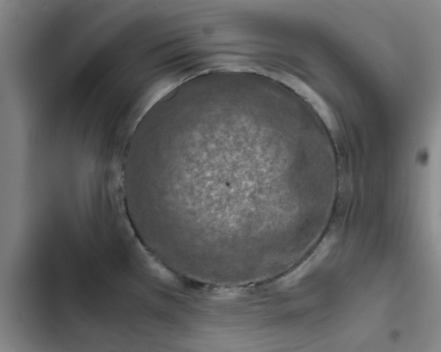 X0000102481385200808221656