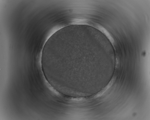 X0000102481386200808221656