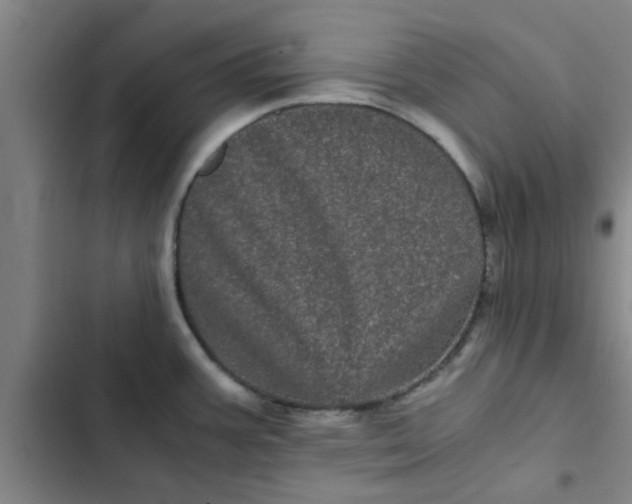 X0000102481387200808221656