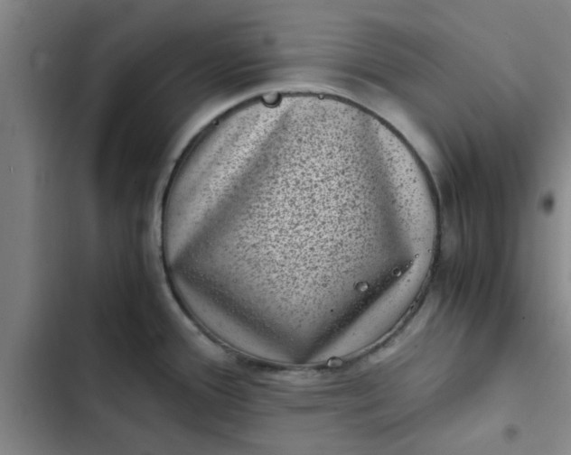 X0000102481388200808221656