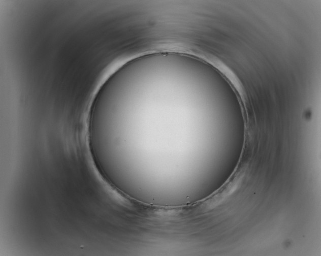 X0000102481389200808221656