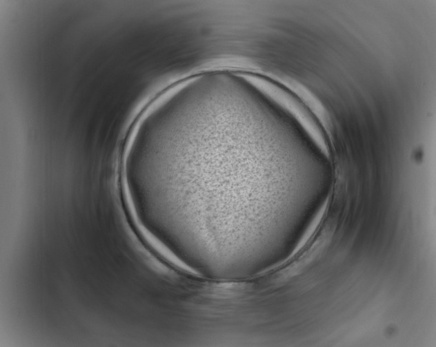 X0000102481390200808221656