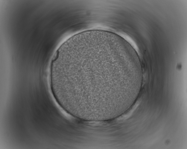 X0000102481391200808221656