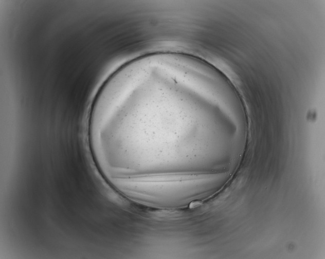 X0000102481392200808221656