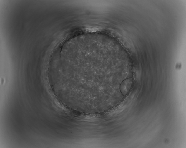 X0000102481393200808221655