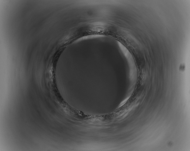 X0000102481394200808221655