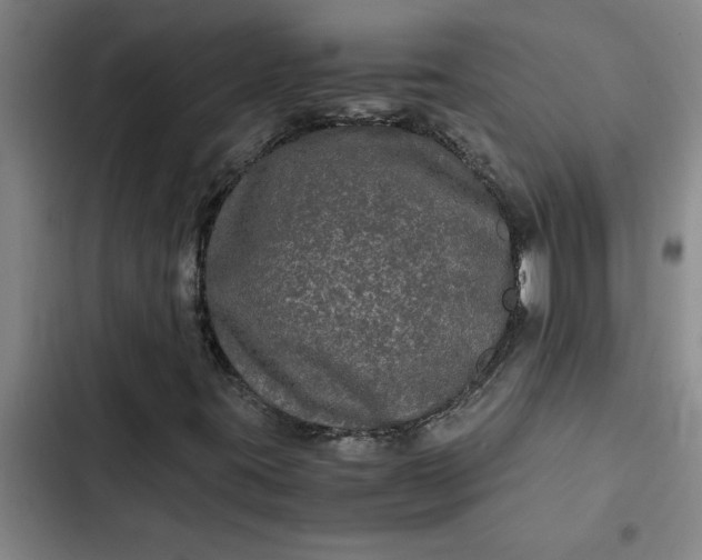 X0000102481395200808221655