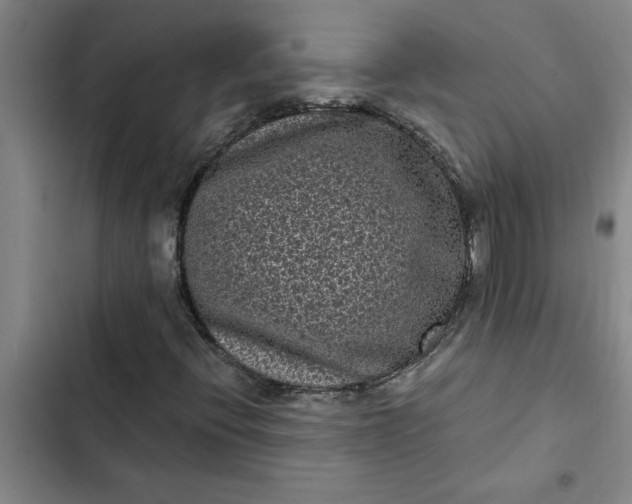 X0000102481396200808221655