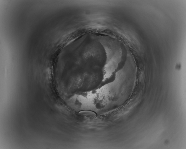 X0000102481397200808221655