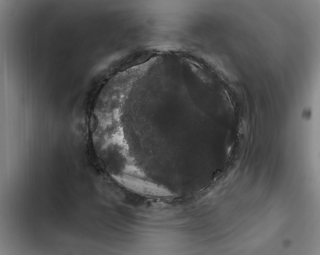 X0000102481398200808221655