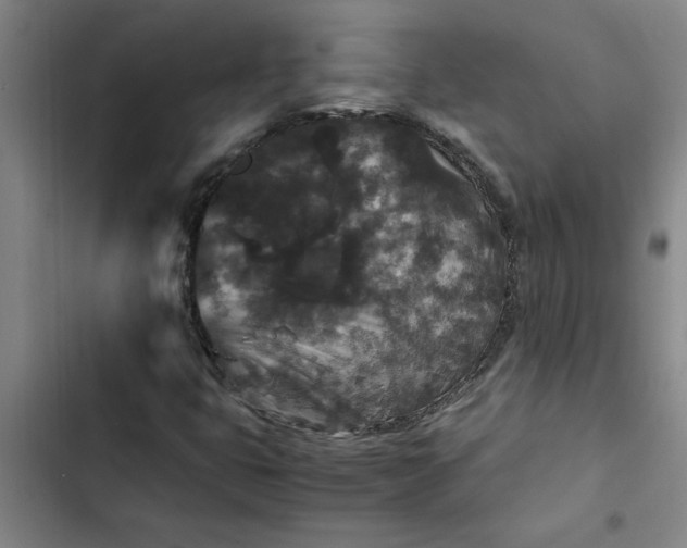 X0000102481399200808221655