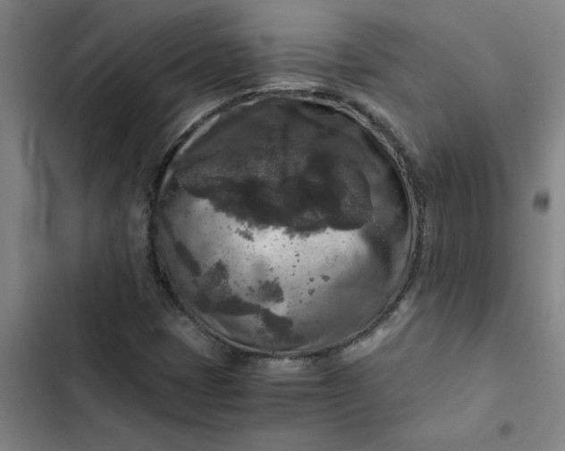 X0000102481401200808221655