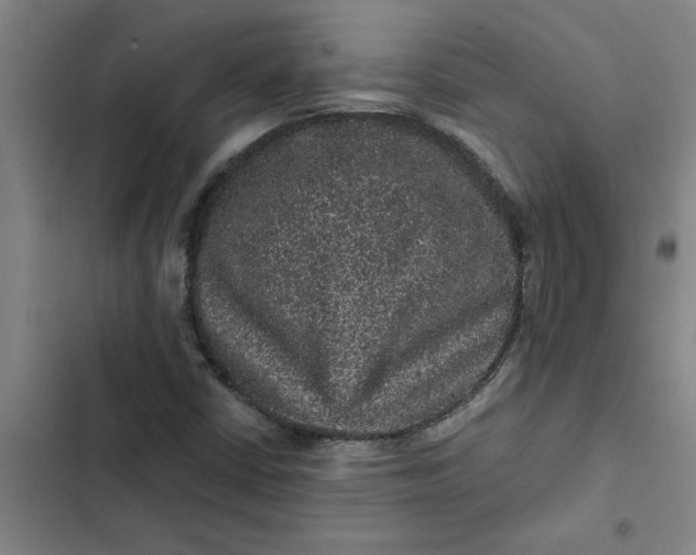 X0000102481402200808221655