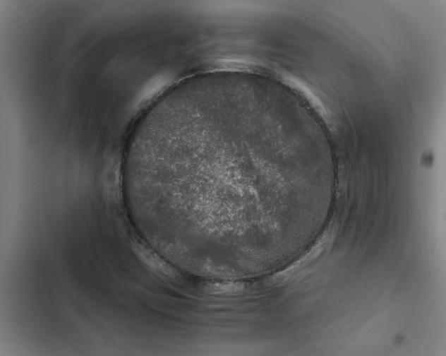 X0000102481403200808221655