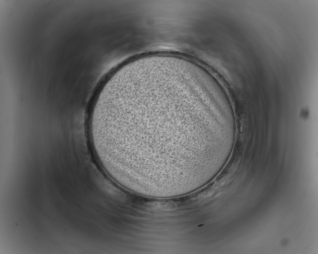 X0000102481404200808221656