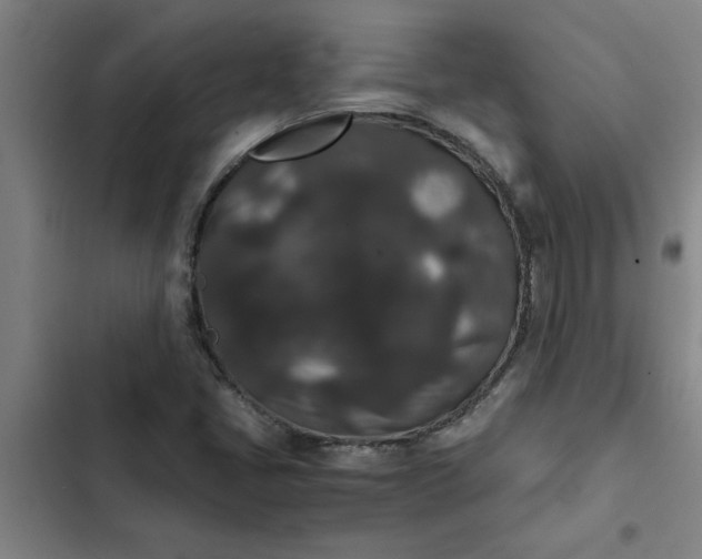 X0000102481405200808221656