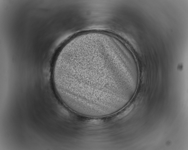 X0000102481406200808221656