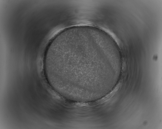 X0000102481407200808221656