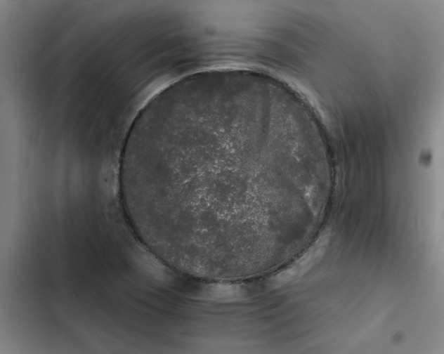 X0000102481409200808221656