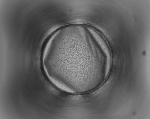 X0000102481410200808221656