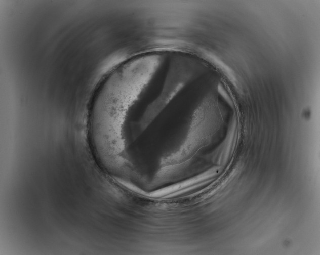 X0000102481411200808221656