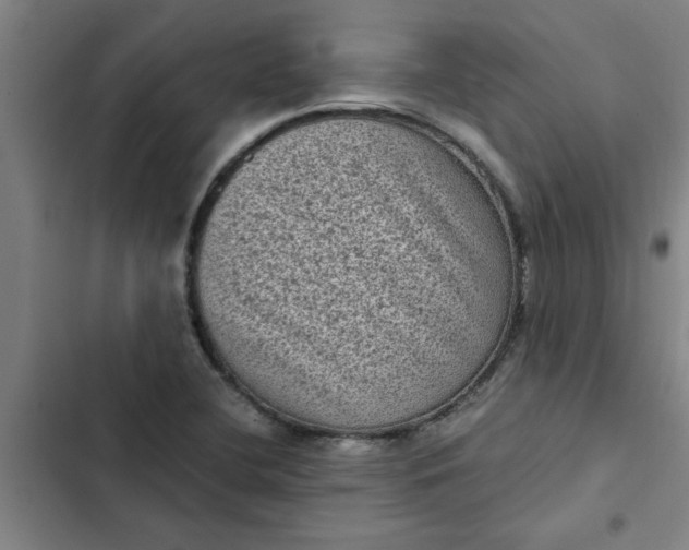 X0000102481412200808221656