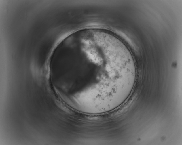 X0000102481413200808221656