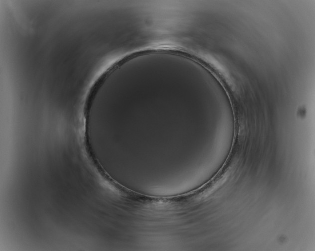 X0000102481414200808221656