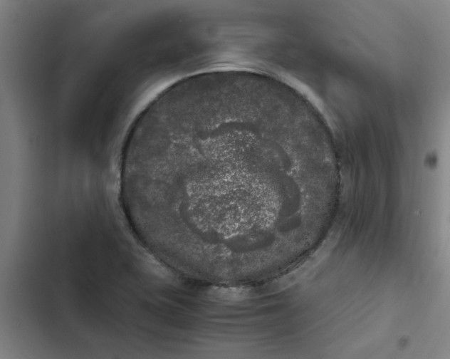 X0000102481415200808221656