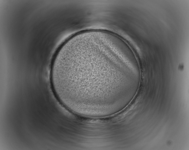 X0000102481416200808221656