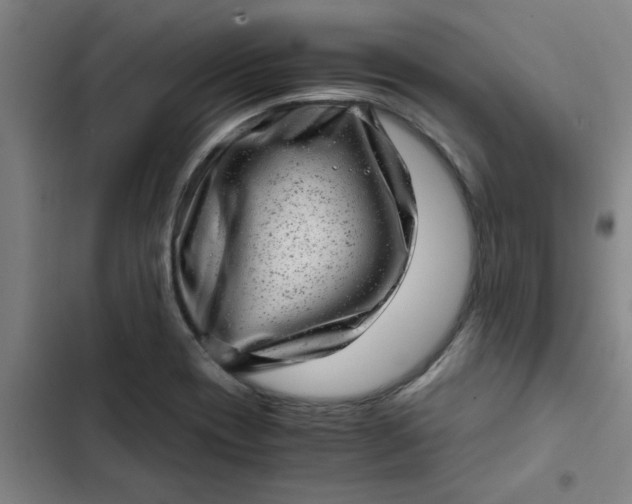 X0000102481417200808221656