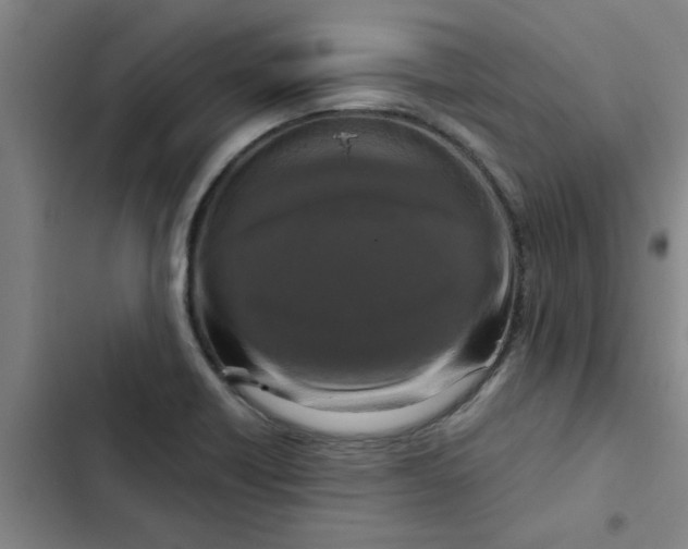 X0000102481418200808221656