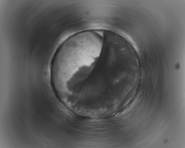 X0000102481419200808221656