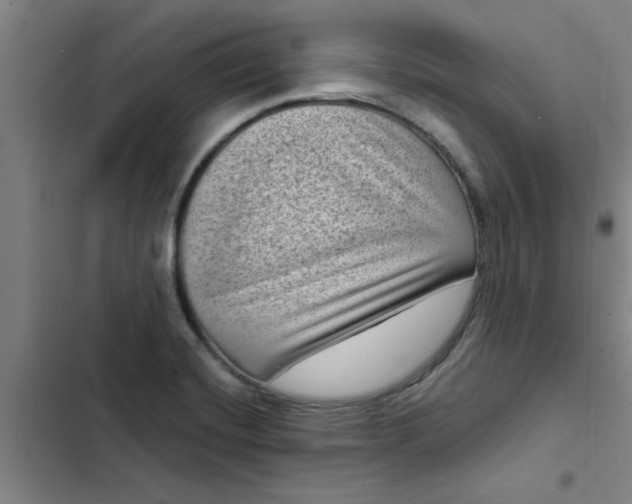 X0000102481420200808221656