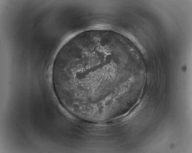 X0000102481421200808221656