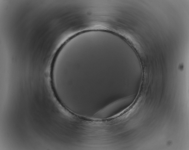 X0000102481422200808221656