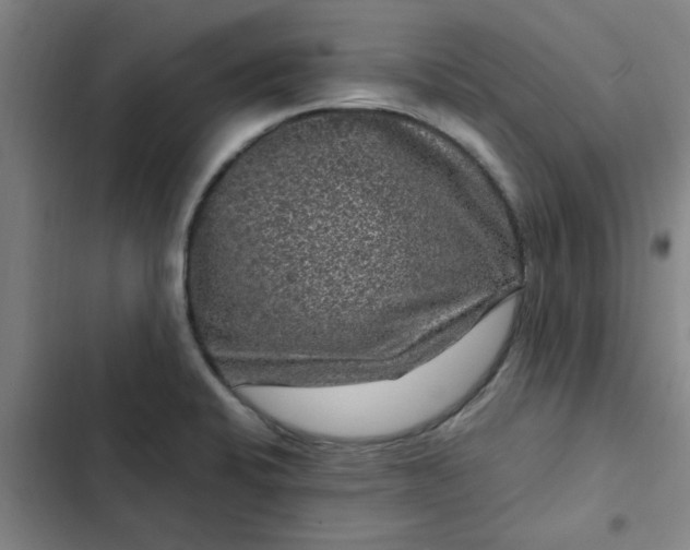 X0000102481424200808221656